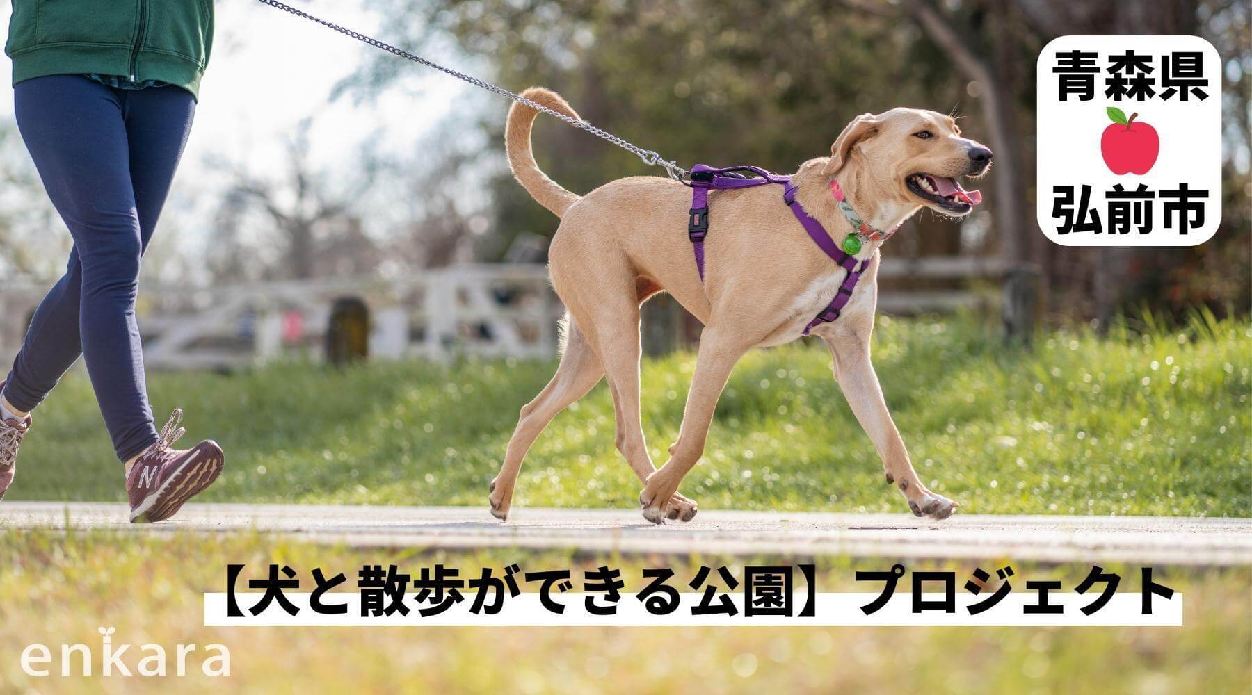 犬と一緒に公園を散歩したい！青森県弘前市が行う【犬と散歩ができる公園】プロジェクトとは？