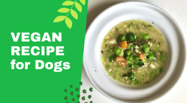 犬ごはんクックブック番外編レシピ「緑薫る春野菜とお豆のヴィーガンスープ」