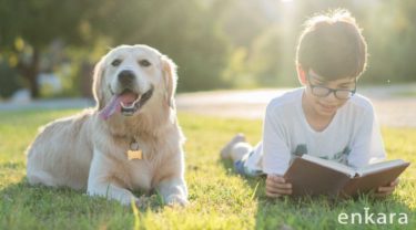 【犬に読む絵本】米国発「R.E.A.D.プログラム®」子どもたちに読書の楽しさと思いやりの心を育む