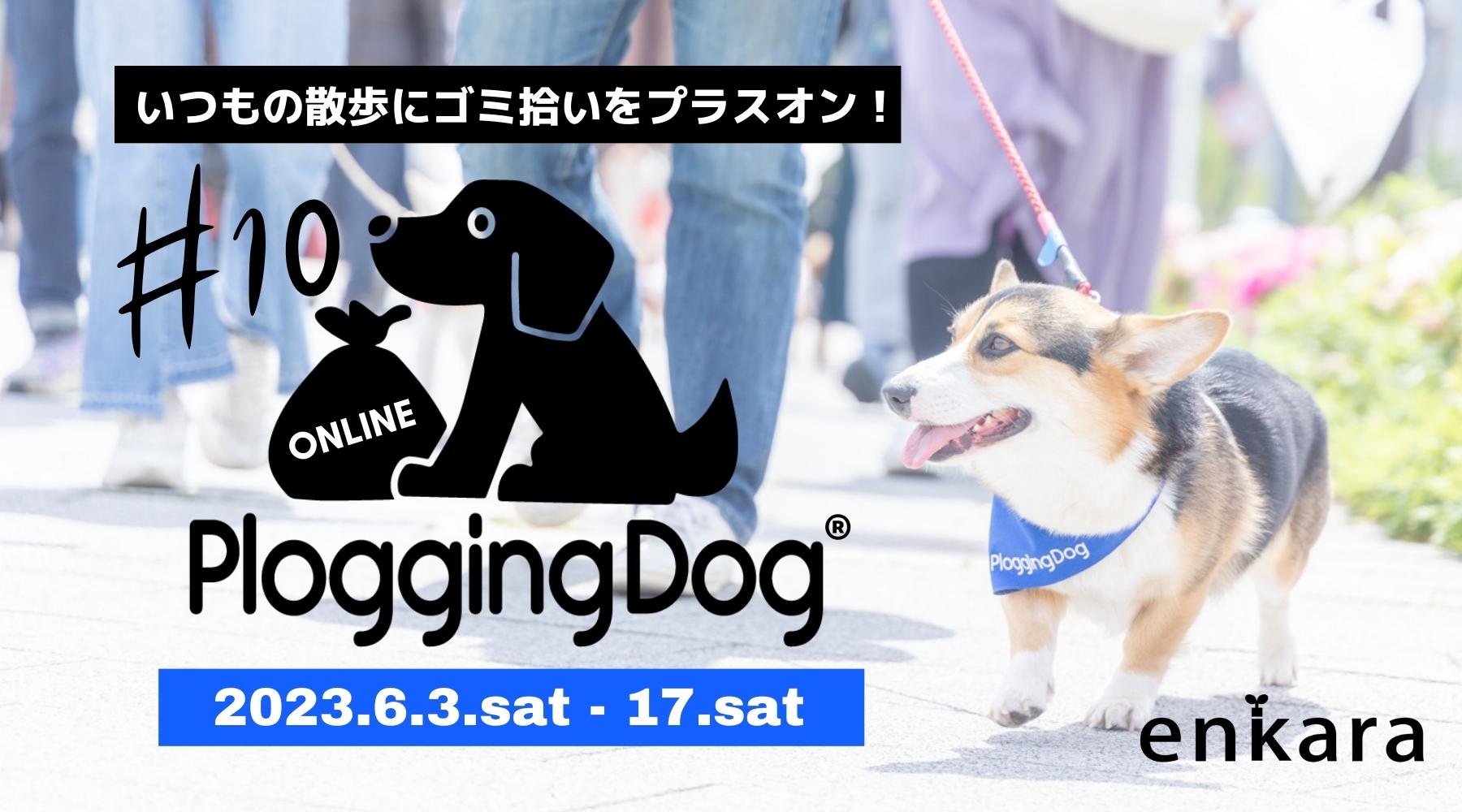 PloggingDog愛犬とゴミ拾いイベント10