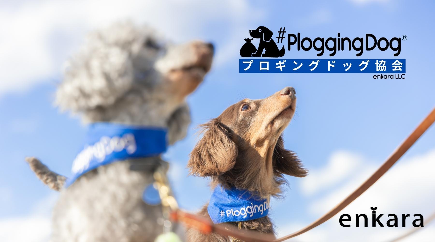 PloggingDogアクション、愛犬とゴミ拾い活動