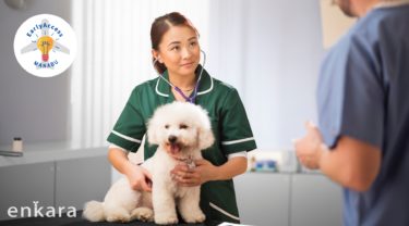 【🔒まなぶ会員早期購読】今春！いよいよ国家資格、愛玩動物看護師が誕生！日本の動物病院で働く看護師は今後どのように変わるの？