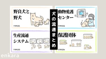 🔒【徹底図解】日本の犬の流通を可視化する〜うちの犬ってどこから来たの？犬の流通まとめ