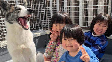 犬と暮らす子どもたちのストーリー「種族や年齢、全てを越えた対等な関係」Sumire&Nazuna&Iori