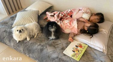 犬と暮らす子どもたちのストーリー「早くお空に行っちゃったちゅらちゃんの分までしゅりちゃんを大事にしよう」Chito＆Iro