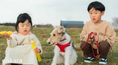 犬と暮らす子どもたちのストーリー「助けたいと迎えたおつき。逆にこちらが救われています」Kaichi＆Komari＆Sumile