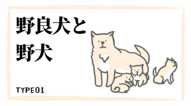 日本の犬の流通を可視化する〜うちの犬ってどこから来たの？〜TYPE1 野良犬と野犬